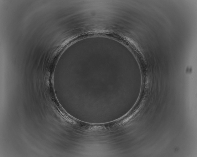X0000090731161200708031517