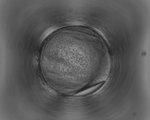 X0000090731163200708031517