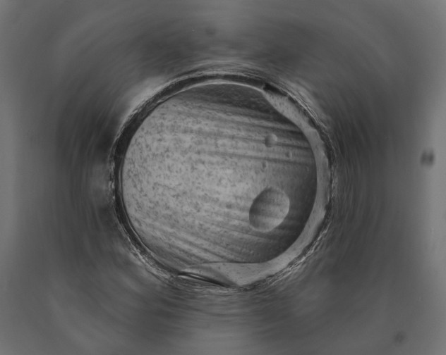 X0000090731164200708031517