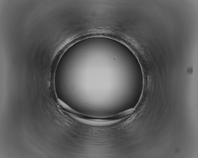 X0000090731165200708031517