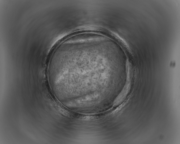 X0000090731166200708031517