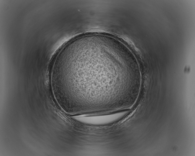 X0000090731167200708031517