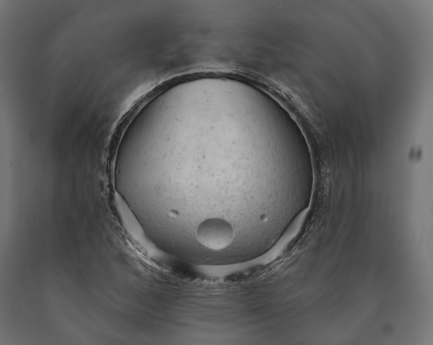 X0000090731168200708031517