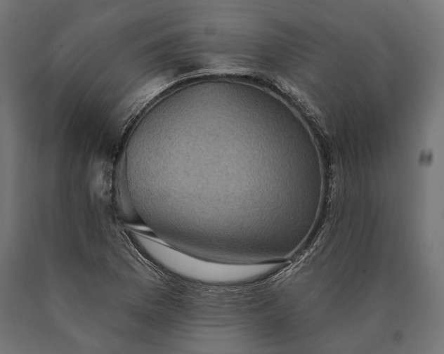X0000090731169200708031517