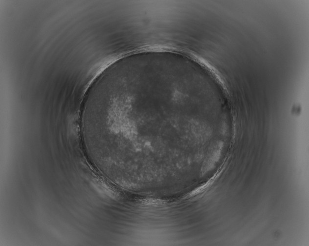 X0000090731170200708031517