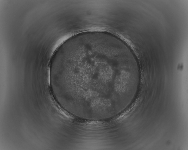 X0000090731171200708031517