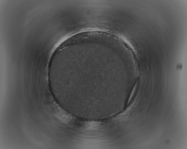 X0000090731173200708031517