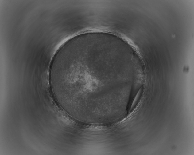 X0000090731174200708031517