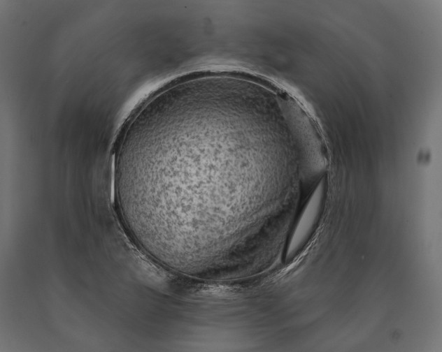 X0000090731175200708031517