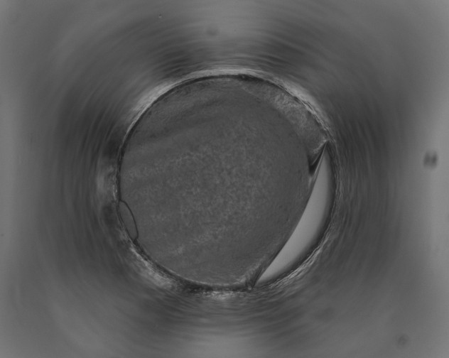 X0000090731177200708031517