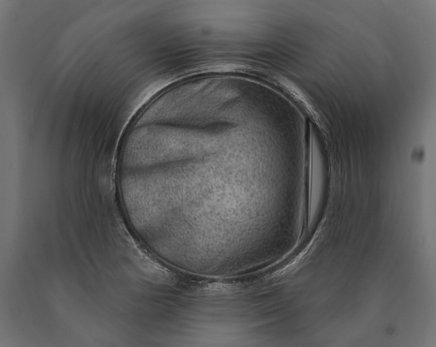 X0000090731178200708031517