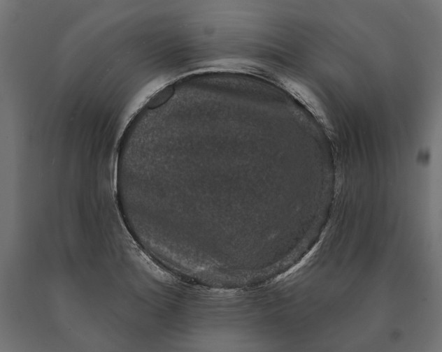 X0000090731180200708031517