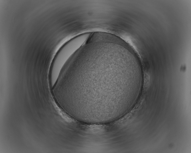 X0000090731181200708031517