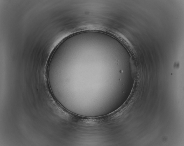 X0000090731182200708031517