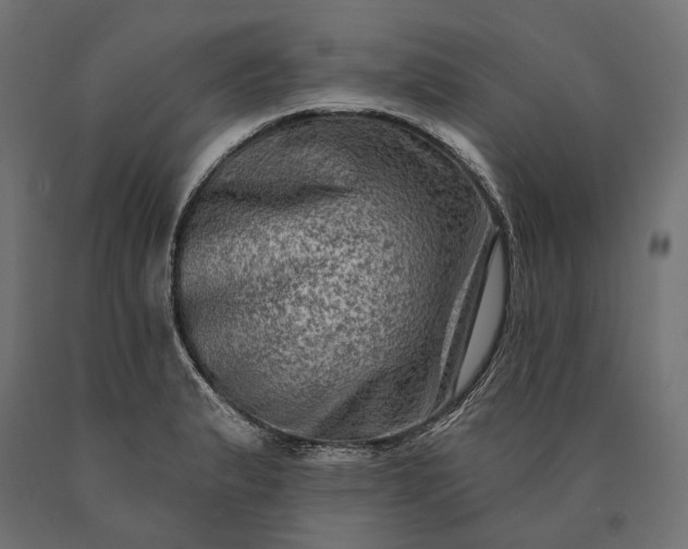 X0000090731183200708031517
