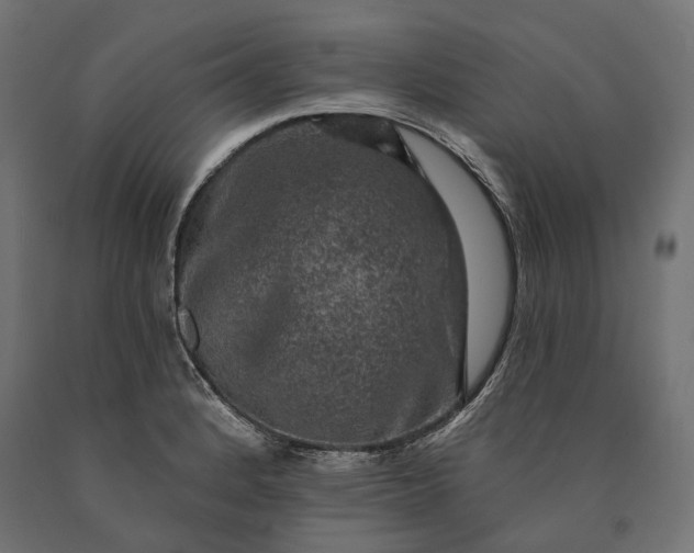 X0000090731184200708031517