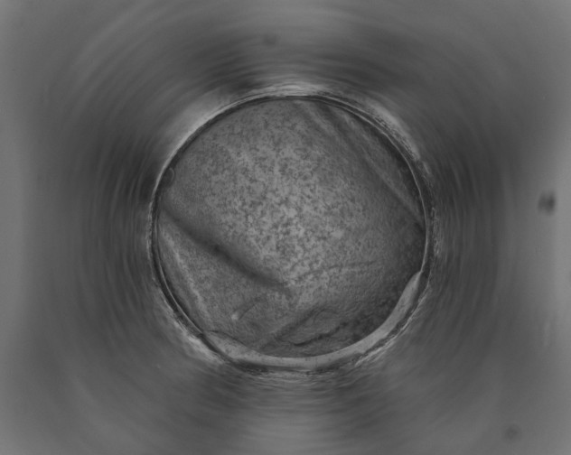 X0000090731186200708031517