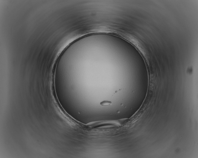 X0000090731187200708031517