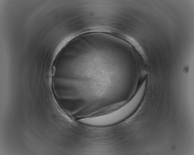 X0000090731188200708031517