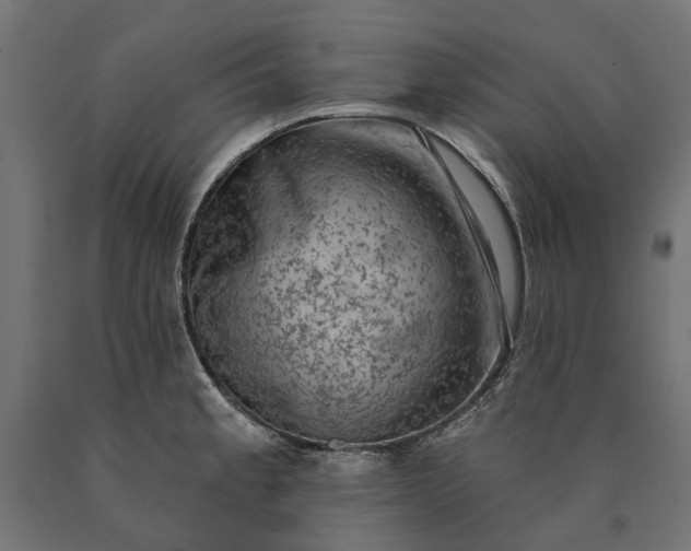 X0000090731189200708031516