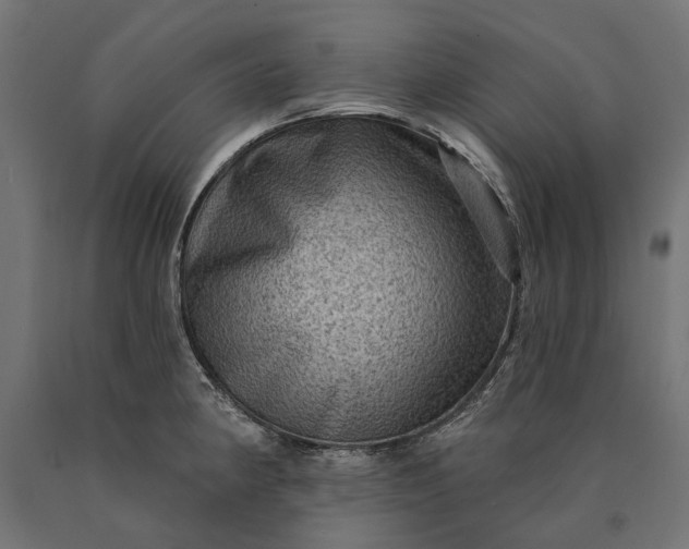 X0000090731190200708031516