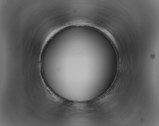 X0000090731191200708031516