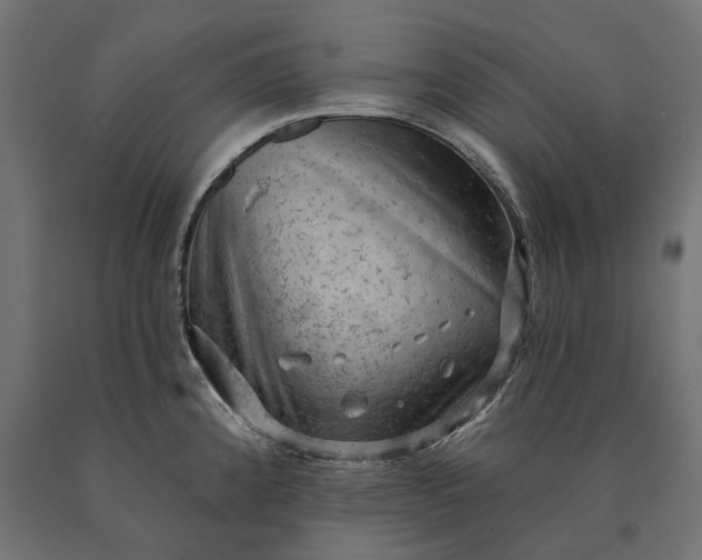X0000090731192200708031516