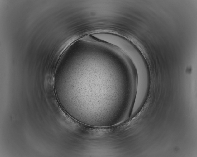 X0000090731193200708031516