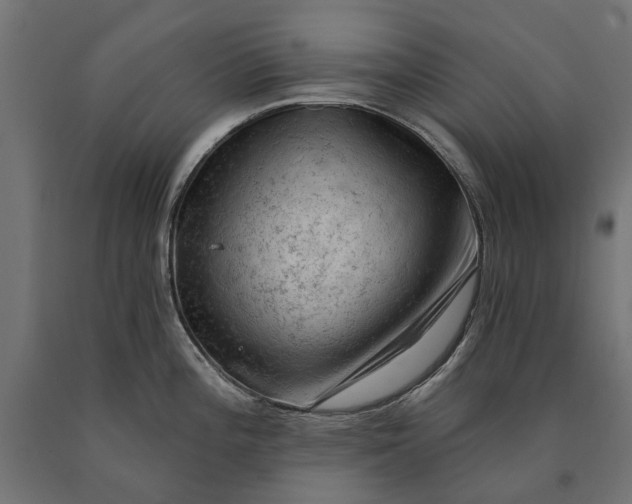 X0000090731196200708031516