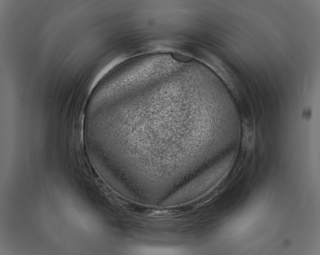 X0000090731198200708031516