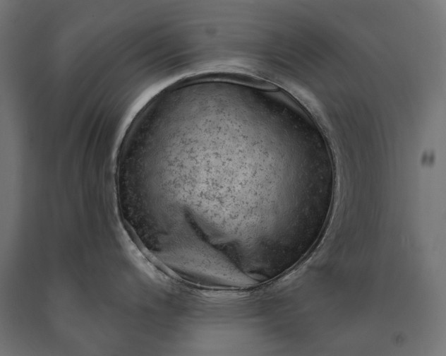 X0000090731200200708031516