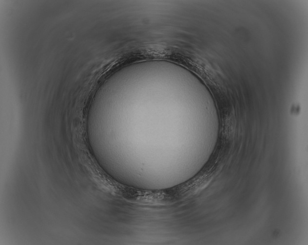 X0000090731201200708031516