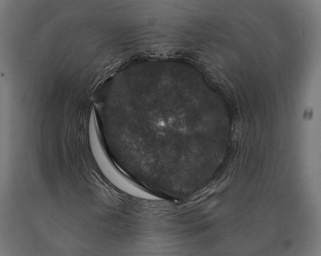 X0000090731202200708031516
