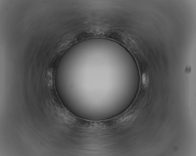 X0000090731203200708031516