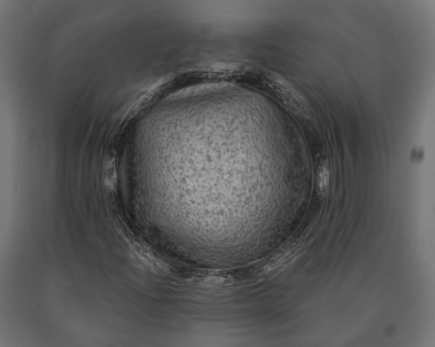 X0000090731204200708031516