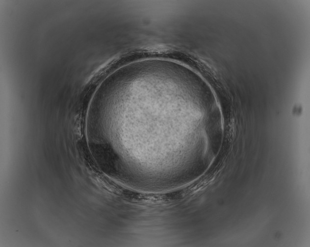 X0000090731205200708031516