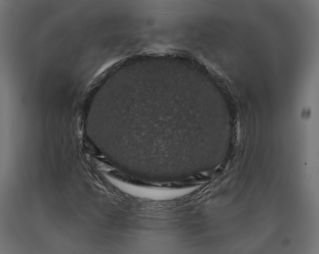 X0000090731206200708031516