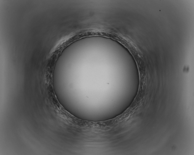 X0000090731207200708031516
