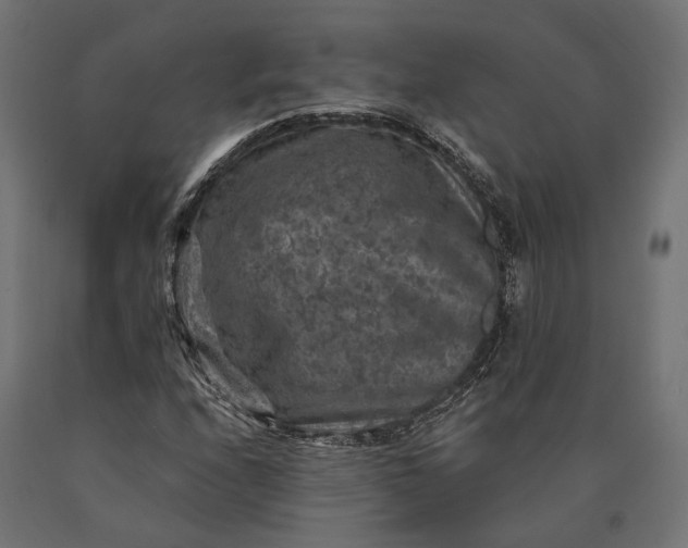 X0000090731208200708031516