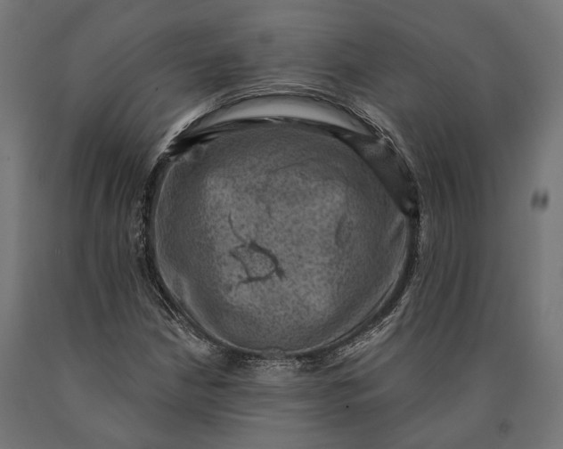 X0000090731210200708031516