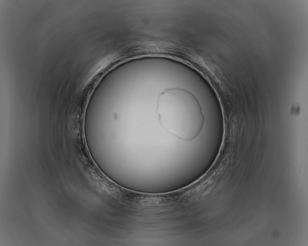 X0000090731211200708031516