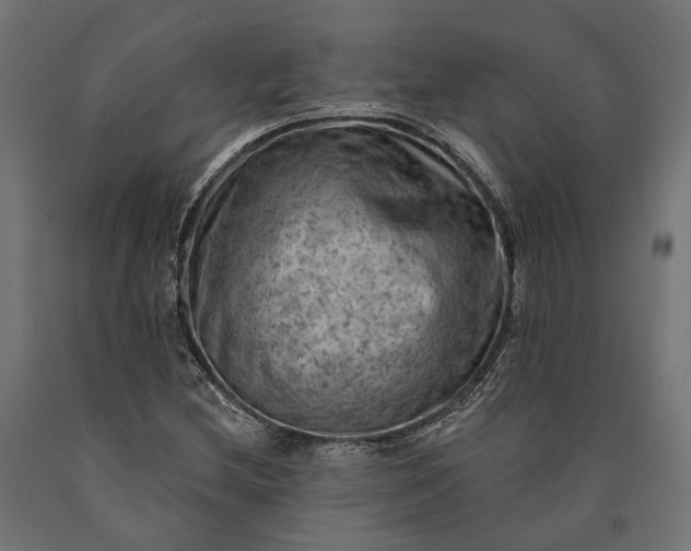 X0000090731212200708031516