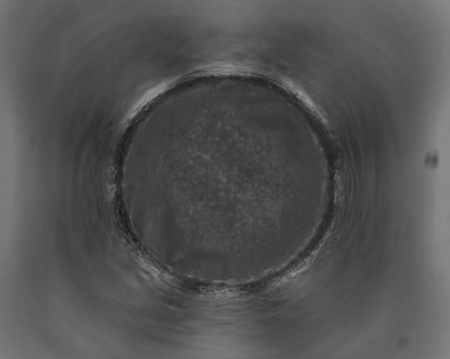 X0000090731213200708031516