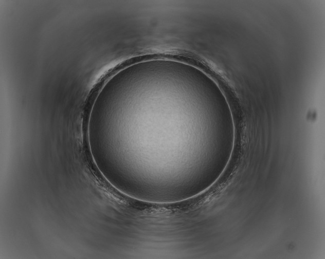 X0000090731214200708031516