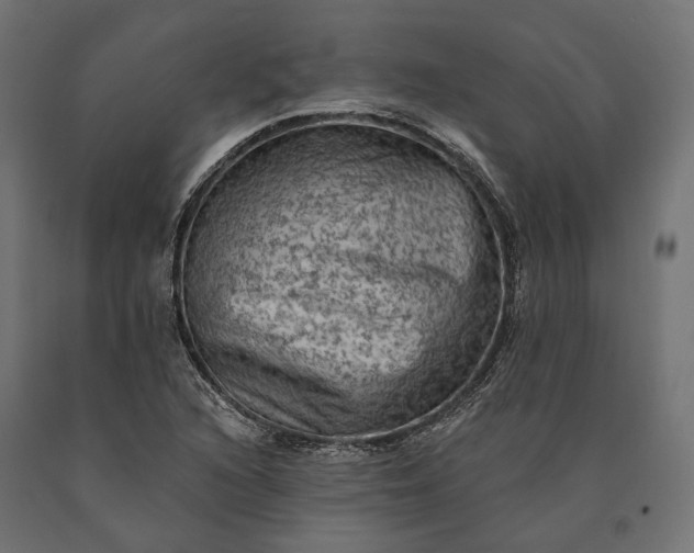 X0000090731216200708031516