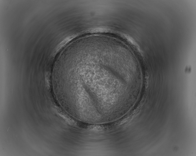 X0000090731217200708031516