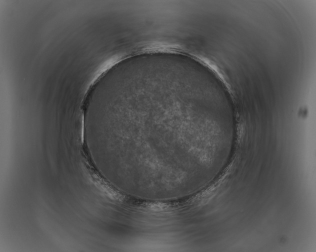X0000090731219200708031516