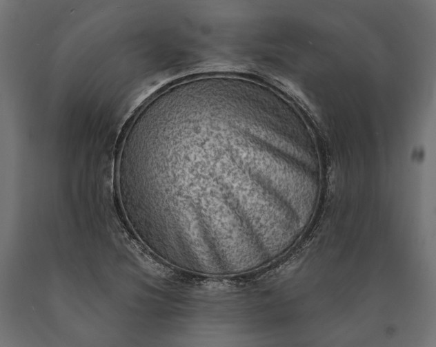 X0000090731220200708031516