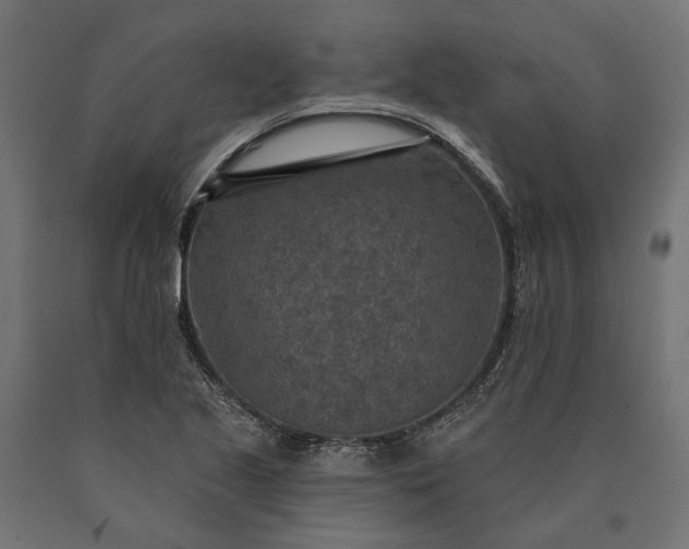 X0000090731221200708031516