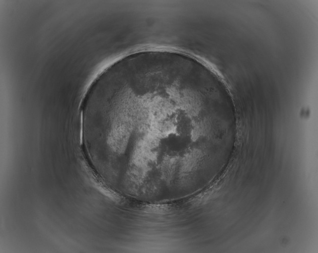 X0000090731223200708031516